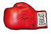 Larry Holmes Signed Everlast Boxing Glove