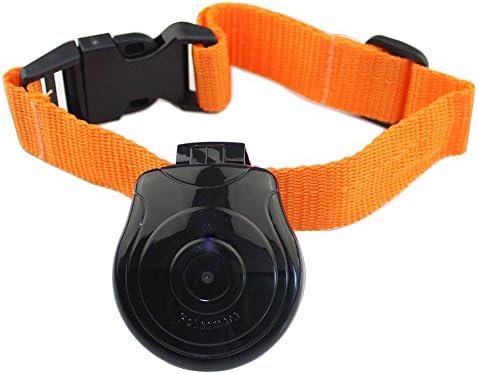 Digital Pet Collar Cam Camera Video Recorder Monitor For Pet(orange+black)