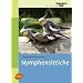 Nymphensittiche: Edition Gefiederte Welt