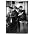 Miniaturansicht von Babyshambles