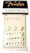 Fender Stratocaster Accessory Kit