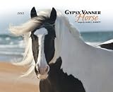 Gypsy Vanner Horse 2012 Calendar