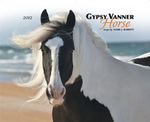 Gypsy Vanner Horse 2012 Calendar