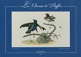 Les Oiseaux de Buffon : Coffret de 20 estampes