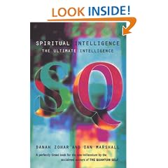Spiritual Intelligence: The Ultimate Intelligence (Bloomsbury Paperbacks)