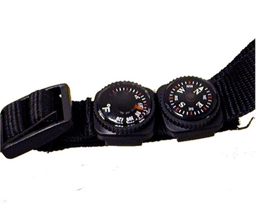 large image
