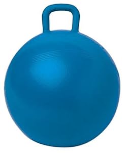 giant bouncy ball with handle
