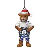 Kentucky Wildcats NCAA Wreath Tree Ornament