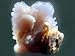 "Squiddy and Crabby" in African Lavender Chalcedony.