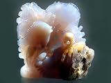"Squiddy and Crabby" in African Lavender Chalcedony.