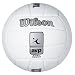 Sporting Goods : Wilson AVP Soft Touch Volleyball