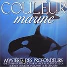 Couleur Marine Import
