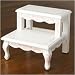 Green Frog Art Stepstools
