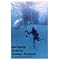Try Treasure Adventures in Film, Song and Print