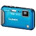 Panasonic Lumix TS20 16.1 MP TOUGH Waterproof Digital Camera with 4x Optical Zoom (Blue)