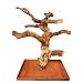 Carved Single Java Wood Tree Size: Large (32