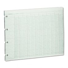 Wilson Jones Green Columnar Ruled Ledger Paper, Double Page Format, 20 Columns and 30 Lines per Page, 9.25 x 11.88 Inches, 100 Sheets per pack (WG10-20A)