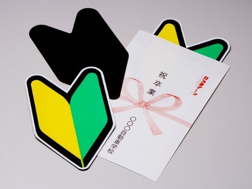 東レ トレシー スカイブルーの画像-1_7-B(0)