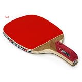 Champion 510 V Japanese Penhold Ping Pong Racket