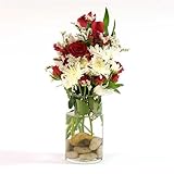 IMAGE OF Glass Cylinder Vase 6