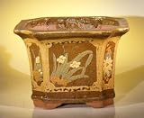 41ZMv8gW2AL. SL160  Bonsai Boys Ceramic Bonsai Pot 16 0x16 0x11 75 Tall Floral Design   Brown Yellow Color Square