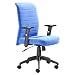 Atlanta Office Chair- Sky Blue