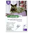 Advantage Cats >9 lb 6pk