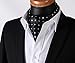 SetSense Men's Polka Dot Jacquard Woven Self Cravat Tie Ascot