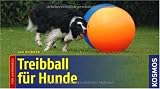 Treibball für Hunde: Für unterwegs