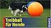 Image of Treibball für Hunde: Für unterwegs