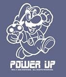 Nintendo Super Mario Power Up Window Decal Sticker 96-584
