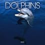 Dolphins 2005 Wall Calendar (Multilingual Edition)