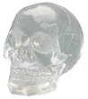 Crystal Skulls - Translucent Skull - Cold Cast Resin - 5" Height