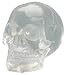 Crystal Skulls - Translucent Skull - Cold Cast Resin - 5" Height