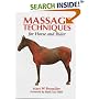Massage Techniques for Horse and Rider