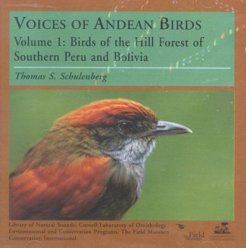 CD-Charts  Search : Voices of Andean Birds, Vol. 1: Birds of the Hill Forest of Southern Peru a