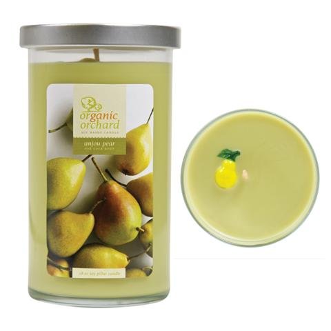 ANJOU PEAR - Organic Orchard - For Every Body Candles - 18oz Candle In Tall Glass Jar