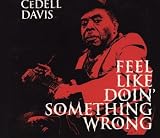 Feel Like Doin' Something Wrong by CeDell Davis