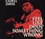 Feel Like Doin' Something Wrong