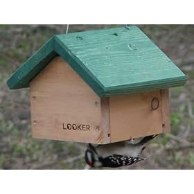 Looker Upside Down Suet Holder by Looker Inc