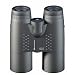 Eschenbach Fernglas Sektor compact 10x42 D-B