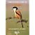A Birdwatchers' Guide to India (Prion Birdwatchers' Guide Series)