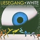 Visual Surveillance of Extremities