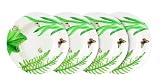 Spode Floral Haven 9-Inch Rim Soup Plates, Set of 4
