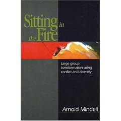 Sitting in the Fire: Large Group Transformation Using Conflict and Diversity