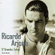 12 Grandes Exitos