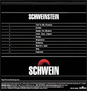 Schweinstein