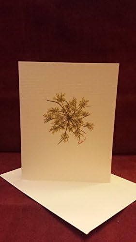 Simply elegant set of six pressed Queen Anne's Lace "Snowflakes" on quality ivory card stock with a hint of glitter