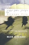 cover of Strange Fire: A Novel