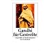 Gandhi f�r Gestre�te (insel taschenbuch)